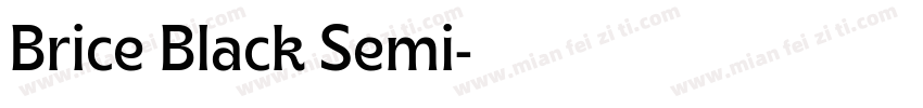Brice Black Semi字体转换